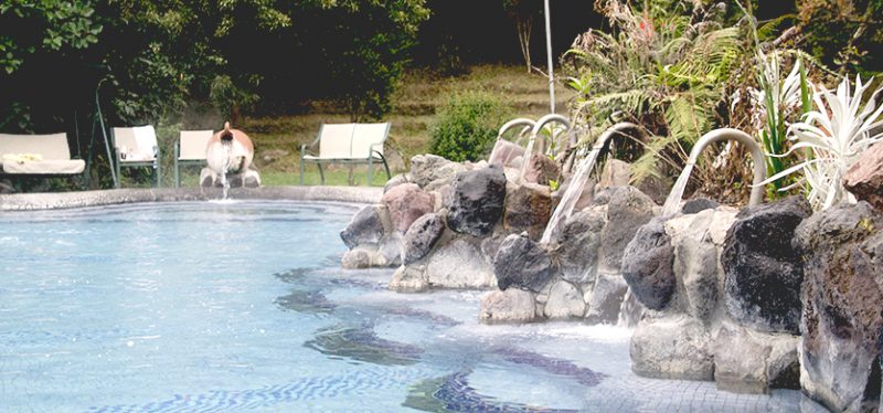 Papallacta Thermal Springs