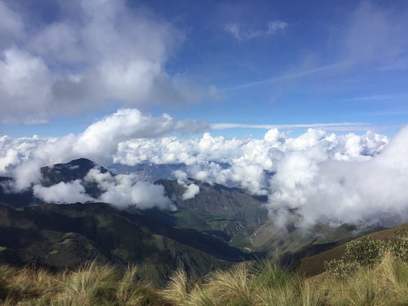 Hidden Gems of Northern Peru Cloud Forest