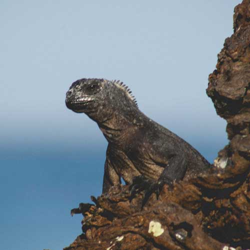 Ecuador