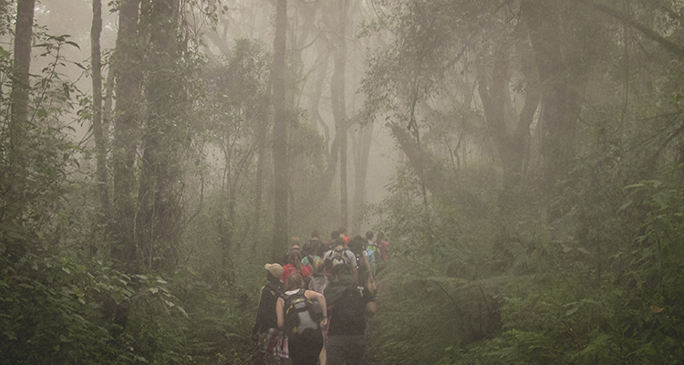 Kilimanjaro Trek