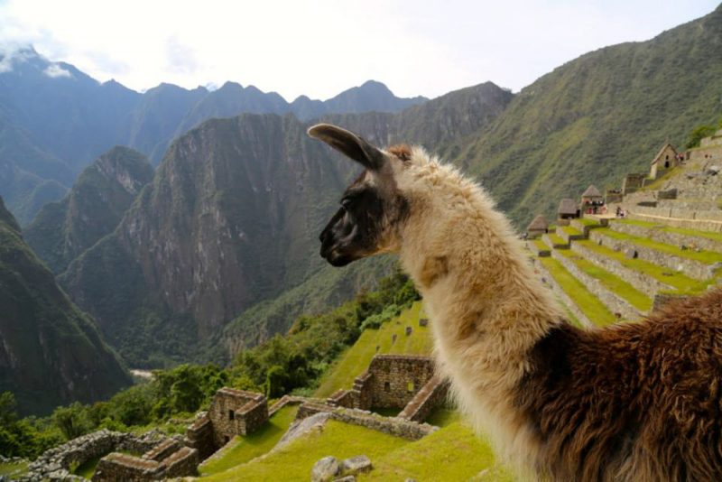 best treks in peru