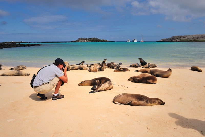 Galapagos cruise or land beach