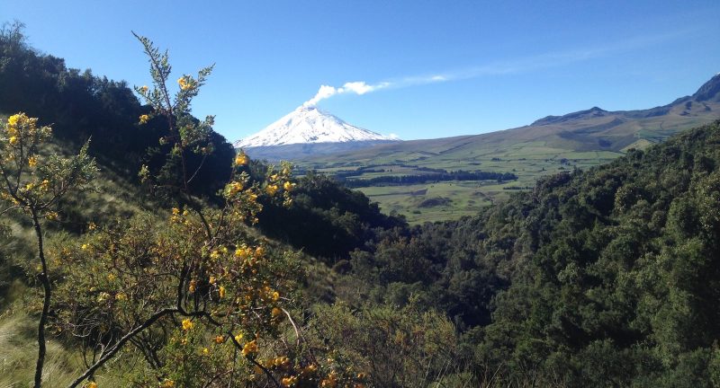 Cotopaxi National Park