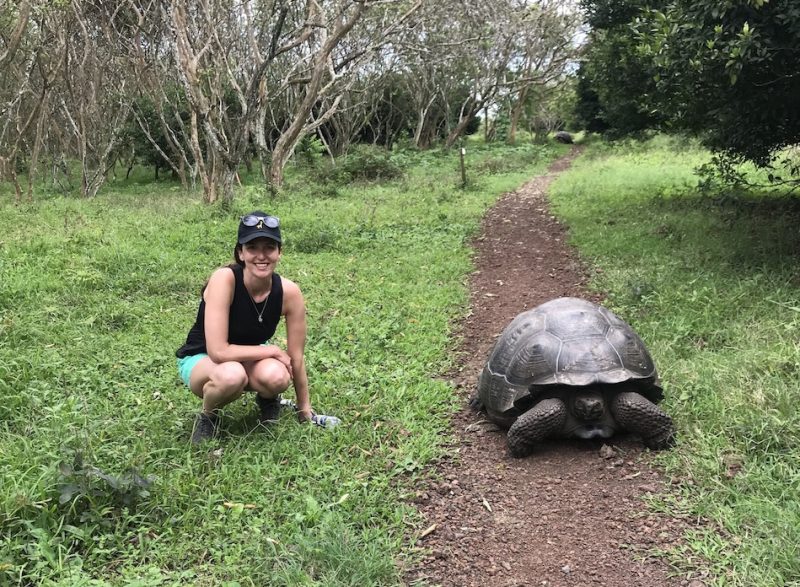 galapagos experience tortoise