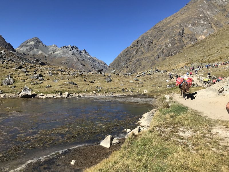 Salkantay Trek 