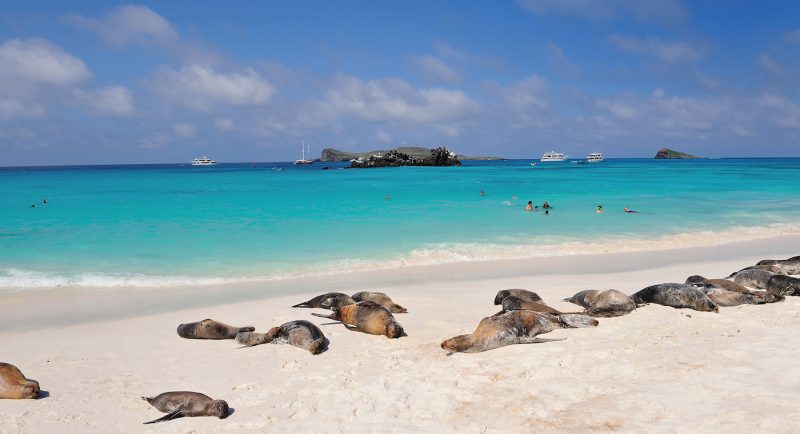 Romantic Destinations Blog - Galapagos