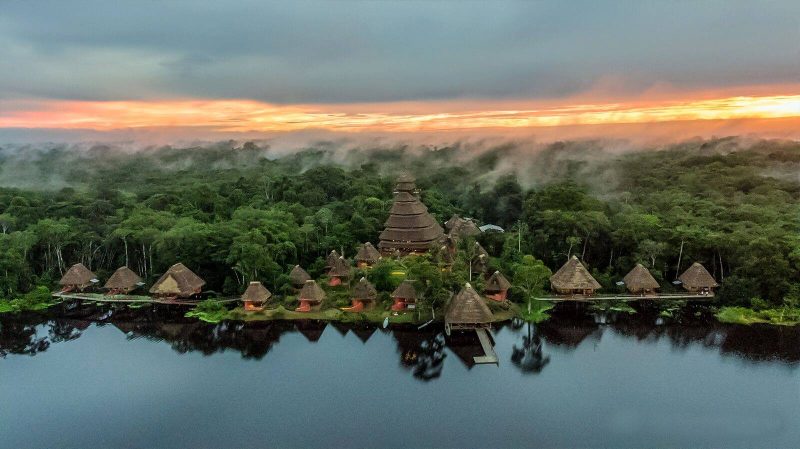 Amazon Rainforest - Napo Wildlife Center