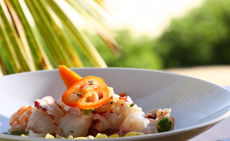 Hotel Arennas Ceviche