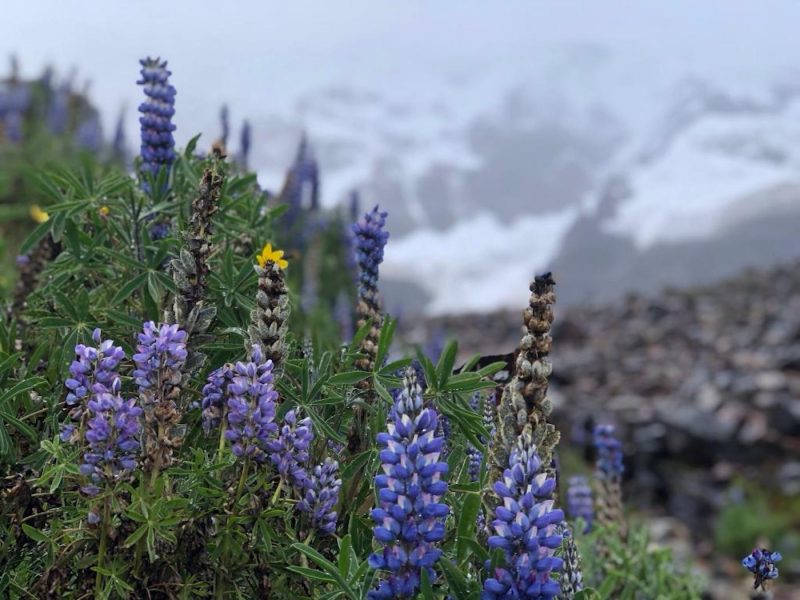 Top 6 Nature Travel Expeditions - Salkantay Trek