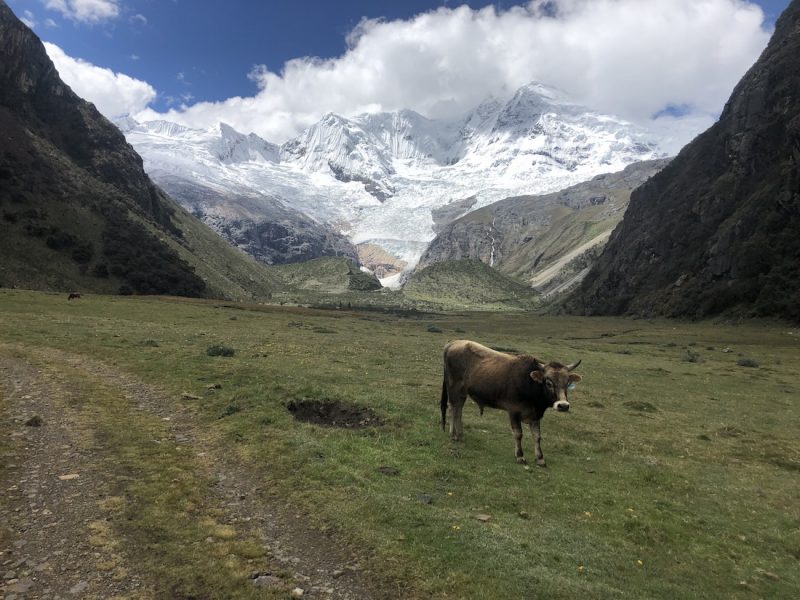 Cordillera Blanca Rajucolta Valley