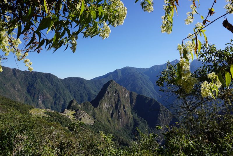 Machu Picchu Hike