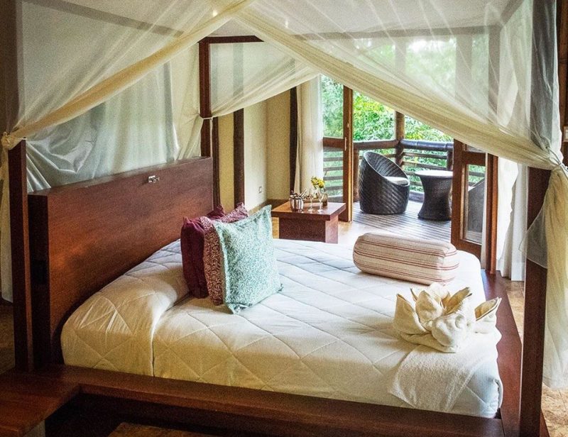 amazon eco lodge