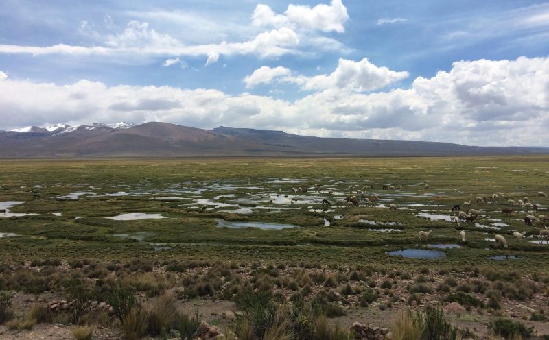 southern peru