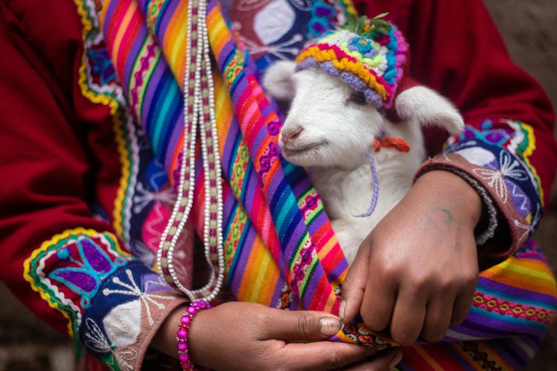 Peru Tour Packages